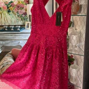 BCBG size 0 beautiful shimmery dress with an open back - with tags- never worn